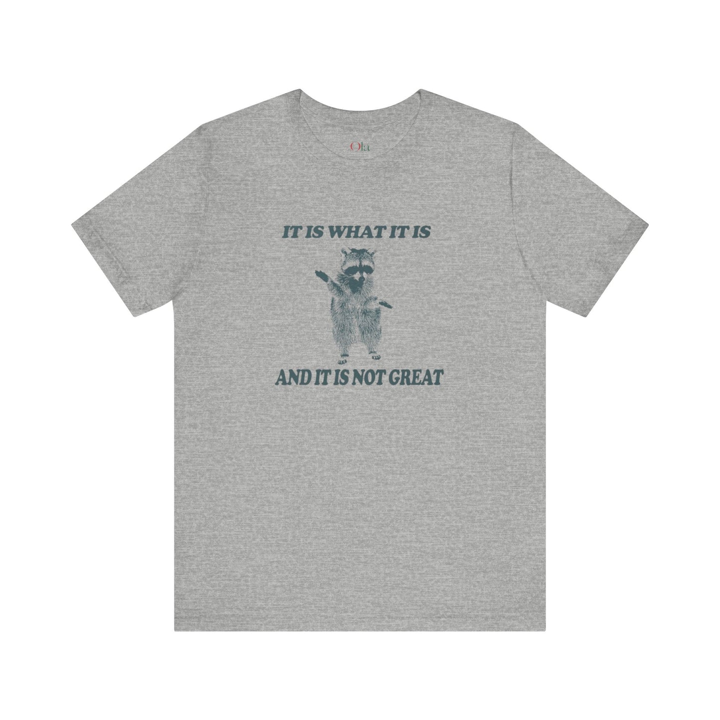 Grey White funny t shirt sayings 'It is what it is and it is not great'